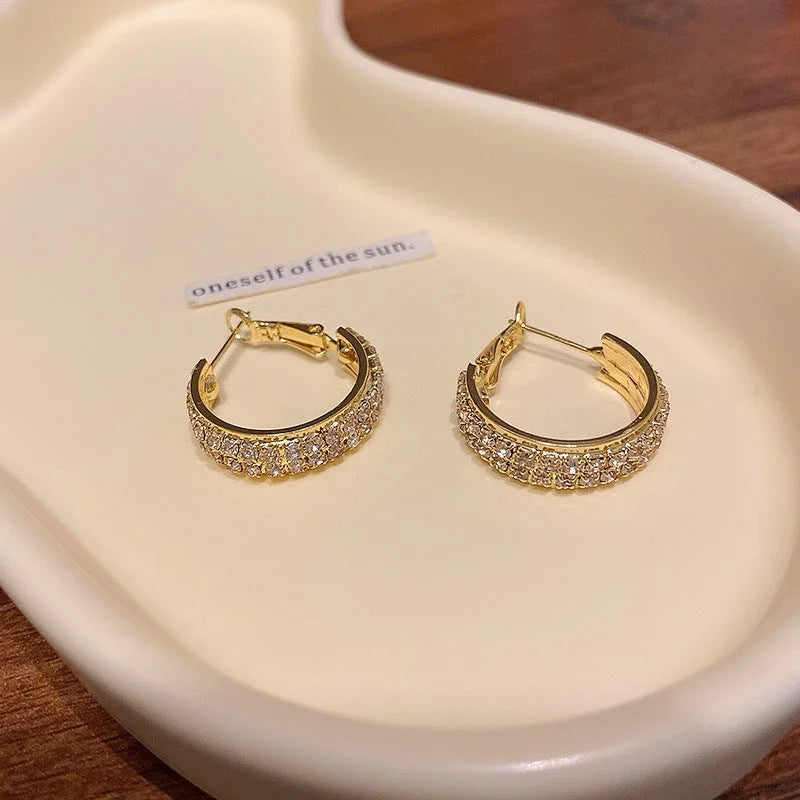 Lymphatic activity hoop earrings（Limited Time Discount 🔥 Last Day）
